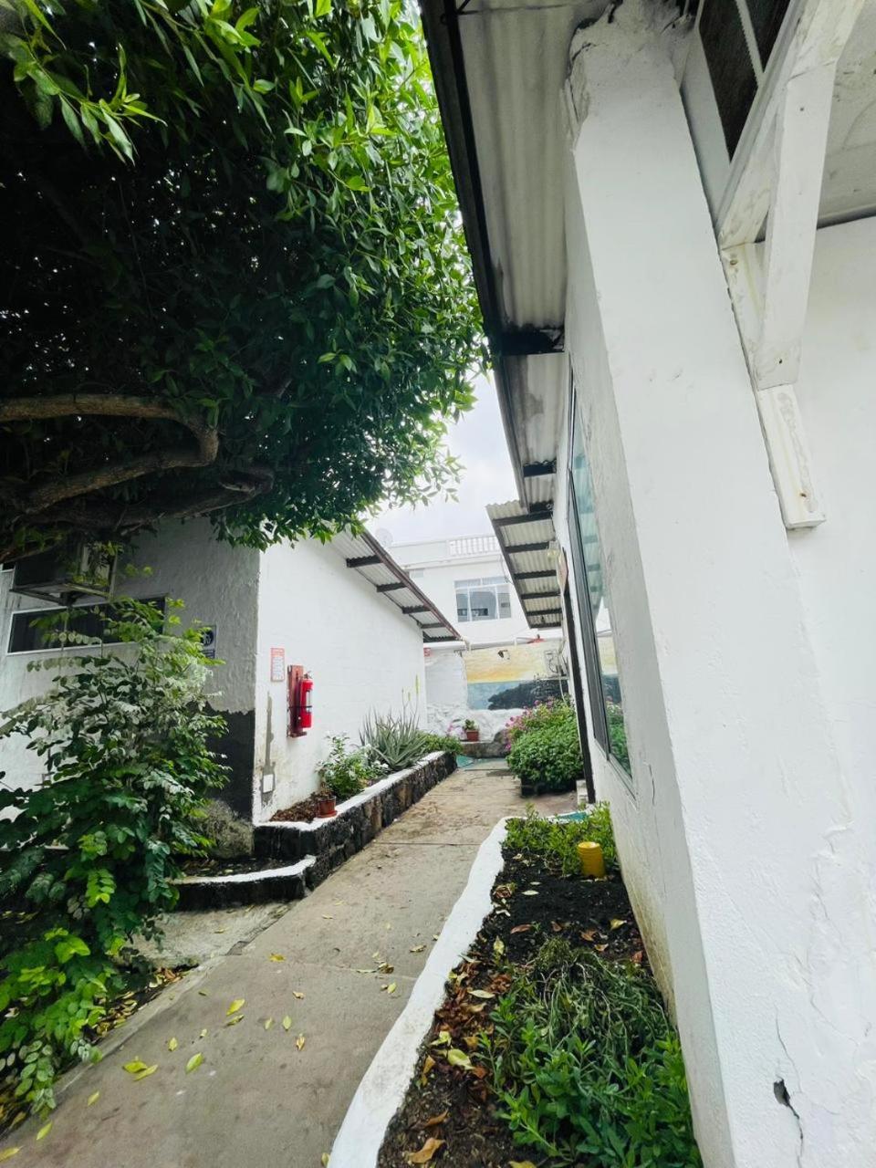 Hostal Darwin Puerto Ayora  Extérieur photo
