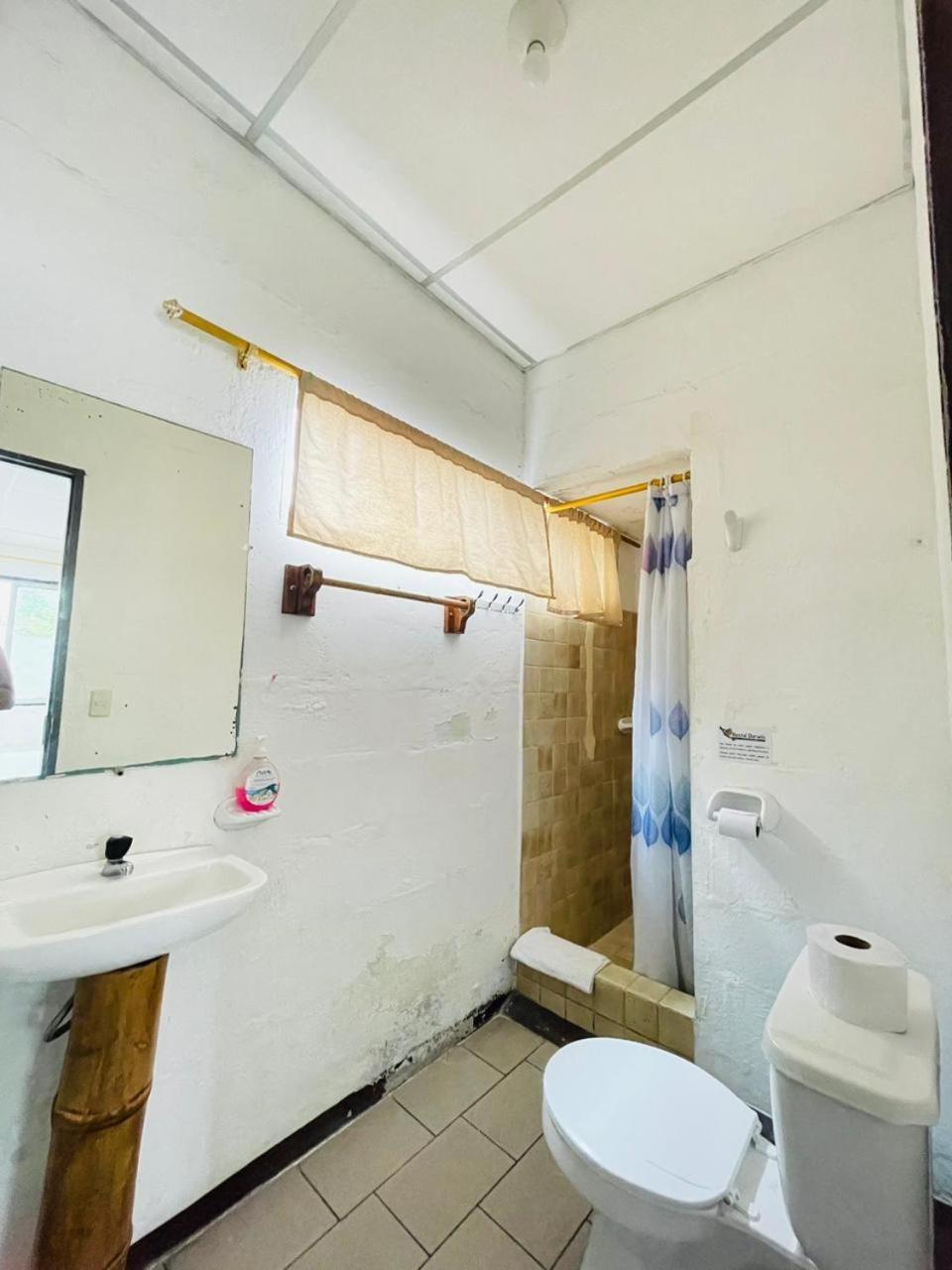 Hostal Darwin Puerto Ayora  Extérieur photo